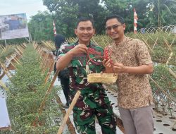 Memanfaatkan Lahan Yang Tidak Terpakai Untuk Kepentingan Masyarakat