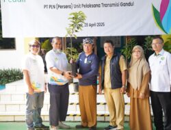 Hijaukan Bumi, PLN UIT JBB Tanam Pohon Produktif untuk Tingkatkan Perekonomian Masyarakat