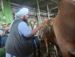 CV Puput Bersaudara  Memberikan Kemudahan Kepada Umat Nya Untuk Berkurban.