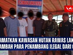Petambang Emas Ilegal Dapat Diancam Pidana Penjara Maksimal 10 Tahun dan Denda Hingga Rp5 Miliar
