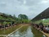 Pensiun Bukan Halangan Untuk Mencari Cuan