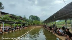 Pensiun Bukan Halangan Untuk Mencari Cuan