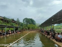 Pensiun Bukan Halangan Untuk Mencari Cuan