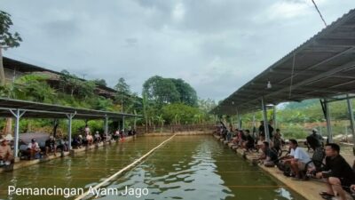 Pensiun Bukan Halangan Untuk Mencari Cuan