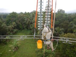 Peringati HUT RI ke-80, PLN Jaga Keandalan Listrik Lewat Penggantian Isolator & Perbaikan Arching Horn SUTT 150 kV Labuan–Saketi