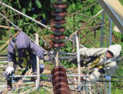 PLN UIT JBB Lakukan Pemeliharaan Tanpa Padam Buktikan Komitmen Layanan Terbaik