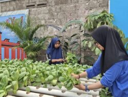 PLN Peduli Dukung Ketahanan Pangan, Salurkan Bantuan untuk Kelompok Tani “Urang Baraya