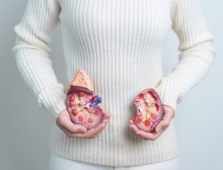 Anak Muda Kini Rentan Penyakit Ginjal, Kenali Penyebab dan Pencegahannya