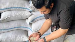 Bulog Bojonegoro Sumbang Hampir 85 Ribu Ton
