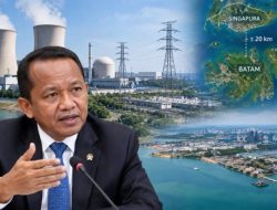 PLTN Di Batam: Antara Ambisi Energi dan Sensitivitas Singapura
